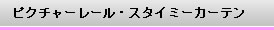 sN`[[EX^C~[J[e